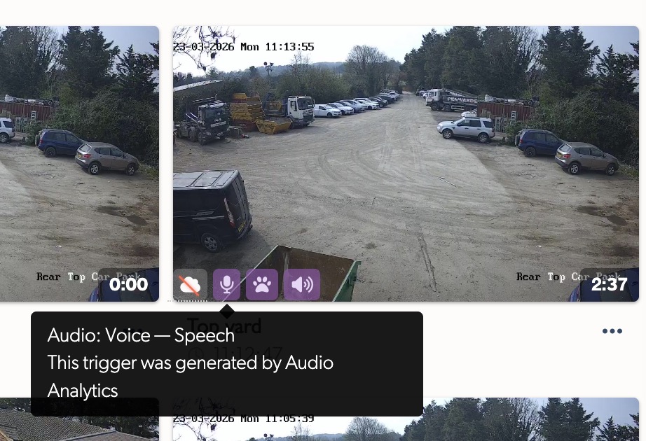 Audio detection on the event timeline showing the Voice - Speech classification