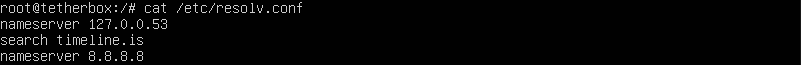 resolv.conf showing DNS settings